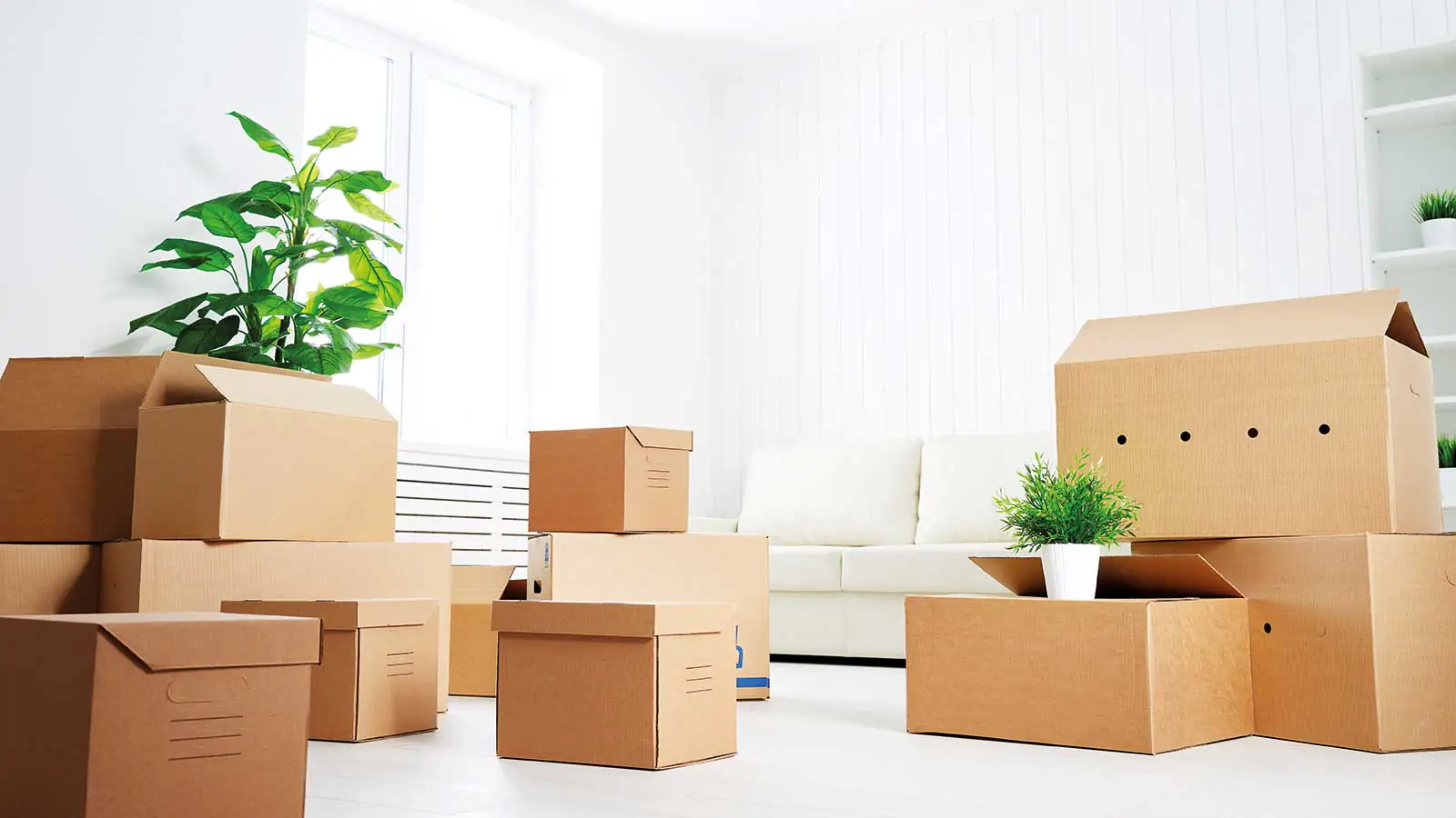 Sostenibilidad en las mudanzas del hogar 2 Sostenibilidad-en-las-mudanzas-del-hogar